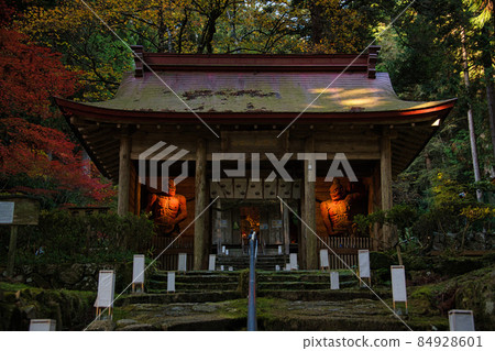 金正山金正寺 2021 年秋季 84928601