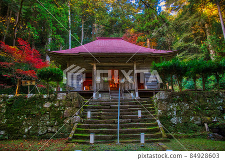 金正山金正寺 2021 年秋季 84928603