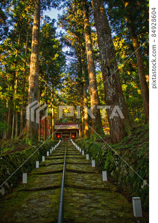 金正山金正寺 2021 年秋季 84928604