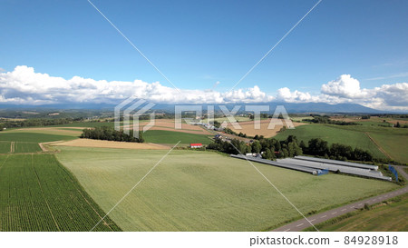 Hill of Biei-cho, Hokkaido 84928918