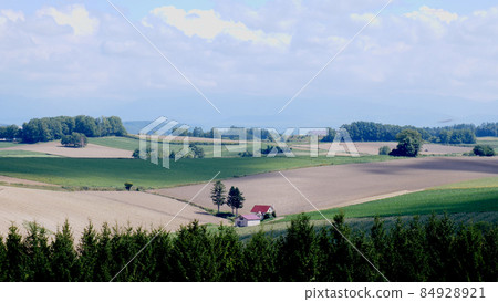 Hill of Biei-cho, Hokkaido 84928921