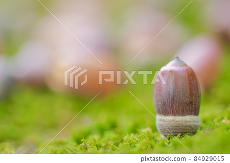 Compared to the back of the acorn, no, it has a unique character. 84929015