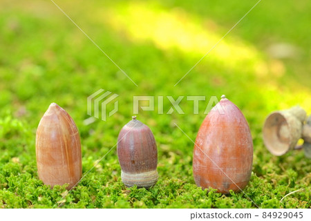 Compared to the back of the acorn, no, it has a unique character. 84929045