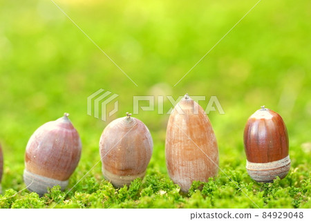 Compared to the back of the acorn, no, it has a unique character. Compared to the back of the acorn, no, it has a unique character. 84929048