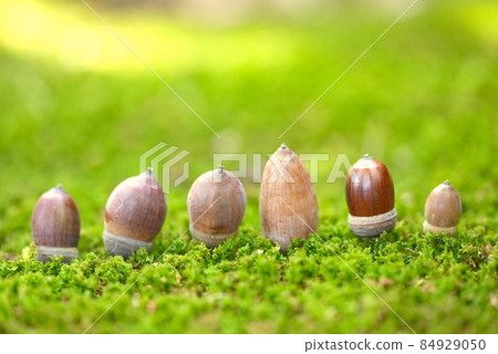 Compared to the back of the acorn, no, it has a unique character. 84929050