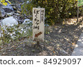 Bakuchigabuchi (Saruga Castle Valley) 84929097