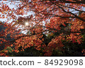Bakuchigabuchi (Saruga Castle Valley) 84929098