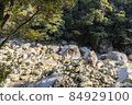 Bakuchigabuchi (Saruga Castle Valley) 84929100