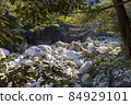 Bakuchigabuchi (Saruga Castle Valley) 84929101