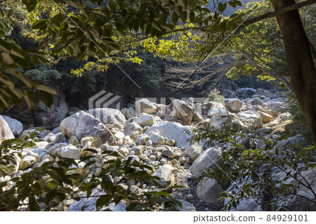 Bakuchigabuchi (Saruga Castle Valley) 84929101
