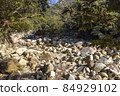 Bakuchigabuchi (Saruga Castle Valley) 84929102