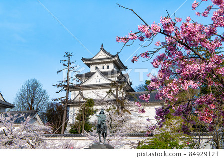 岐阜縣大垣市大垣城-櫻花和天守閣- 84929121