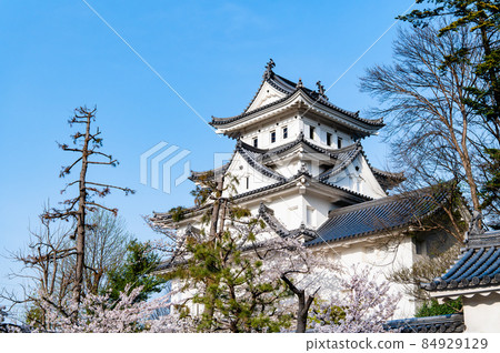 岐阜縣大垣市大垣城-櫻花和天守閣- 84929129
