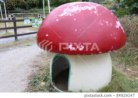 Mushroom house Mushroom house 84929147