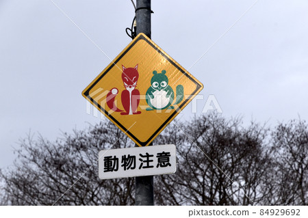 紅狐和綠浣熊路標 84929692