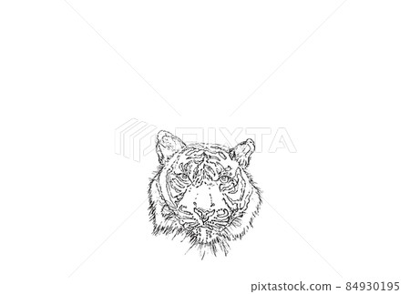 Face line drawing small horizontal 84930195