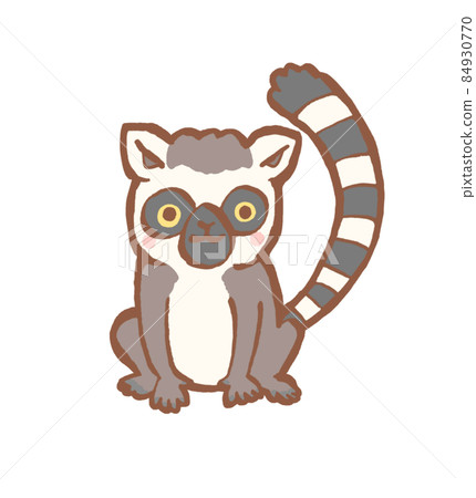 環尾狐猴的手繪插圖 環尾狐猴的手繪插圖 84930770