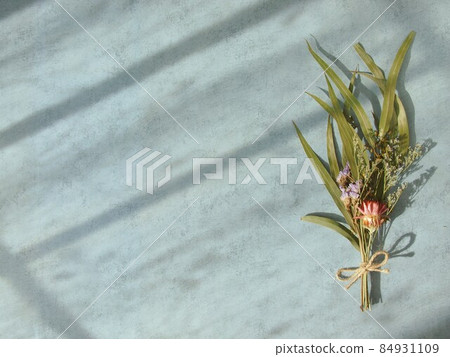 Botanical image 84931109