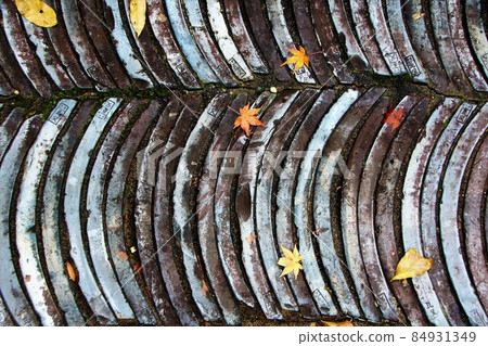 Fallen leaves in the garden of Natadera Temple, Komatsu City, Ishikawa Prefecture 84931349