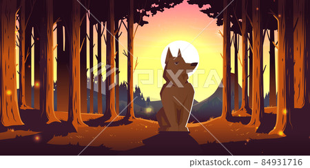 Wolf in forest, wild animal sitting in deep wood Wolf in forest, wild animal sitting in deep wood 84931716
