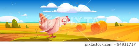 Rural landscape with hay bales on field and hen Rural landscape with hay bales on field and hen 84931717
