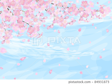 櫻花上的天空背景 84931873