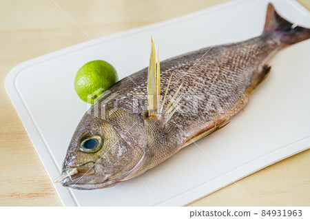 Isaki Isaki 84931963