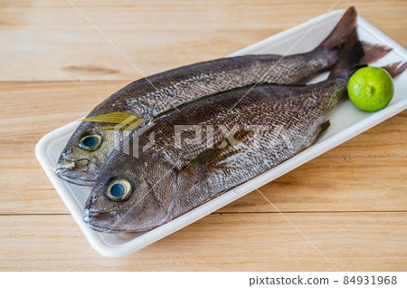 Grunt in a pack 84931968