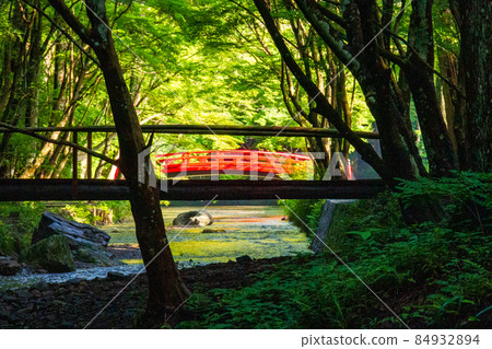 靜岡縣森町大國神社 初夏的景色 靜岡縣森町大國神社 初夏的景色 84932894