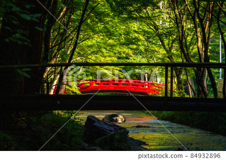 靜岡縣森町大國神社 初夏的景色 靜岡縣森町大國神社 初夏的景色 84932896