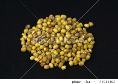 Mung bean or green gram, Vigna radiata, Satara, Maharashtra, India Mung bean or green gram, Vigna radiata, Satara, Maharashtra, India 84933408