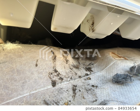 車獸傷害 84933654