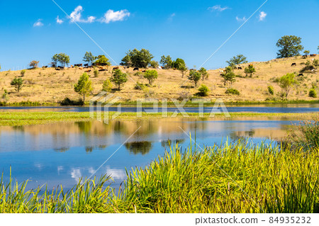 View of Biviere lake on a sunny summer day, Nebrodi National Park, Sicily, Italy View of Biviere lake on a sunny summer day, Nebrodi National Park, Sicily, Italy 84935232