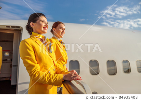 Two cheerful women stewardesses standing near airplane door 84935408