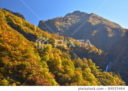 越後三山水梨川和越後駒嶽大鶴水澤加賀瀑布的紅葉 越後三山水梨川和越後駒嶽大鶴水澤加賀瀑布的紅葉 84935464