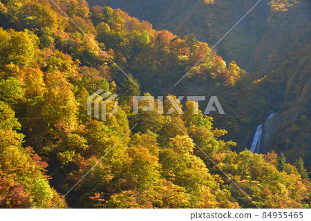 越後三山水梨川和越後駒嶽大鶴水澤加賀瀑布的紅葉 越後三山水梨川和越後駒嶽大鶴水澤加賀瀑布的紅葉 84935465