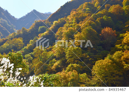 越後三山水梨川的紅葉 從水梨川眺望八海山 越後三山水梨川的紅葉 從水梨川眺望八海山 84935467