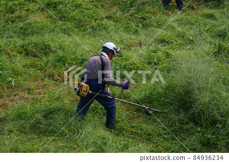 Workers mowing abandoned cultivated land 84936234