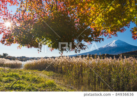 Autumn scenery of Lake Okugawaguchi 2021 84936636