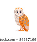 Barn owl with white face and brown wings, side view. Wild forest bird. Carnivore Hunter Bird Cartoon flat style character of ornithology, vector illustration isolated on white 84937166