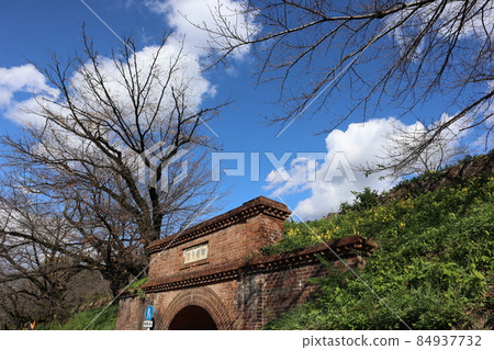 Landscape with white clouds, blue sky, twisted manpo, winter dead trees and green vegetation 84937732