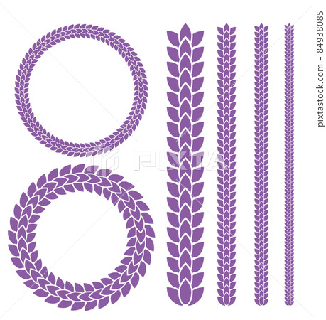 Wisteria vector illustration Wisteria vector illustration 84938085