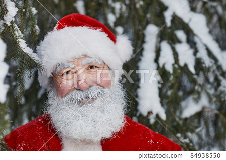 Father Christmas Portrait Father Christmas Portrait 84938550