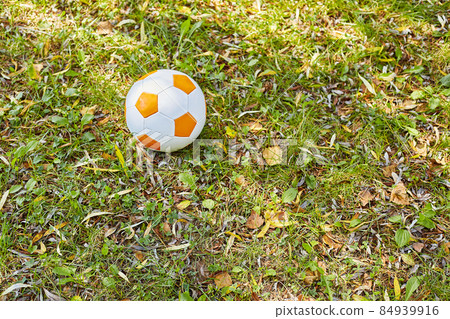 Children's soccer ball lies on the green grass Children's soccer ball lies on the green grass 84939916