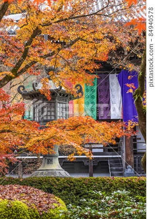 Kyoto Eikan-do in late autumn Kyoto Eikan-do in late autumn 84940578