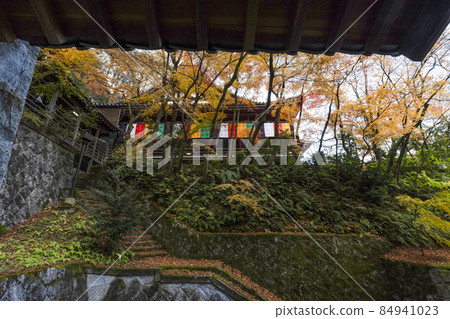 Kyoto Eikan-do in late autumn Kyoto Eikan-do in late autumn 84941023