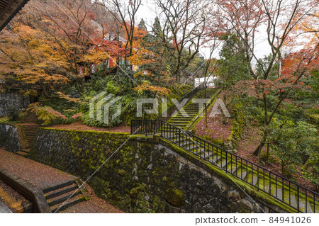 Kyoto Eikan-do in late autumn Kyoto Eikan-do in late autumn 84941026