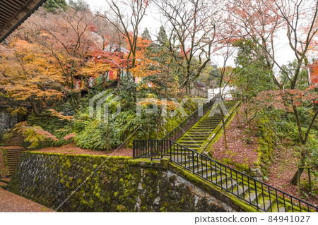 Kyoto Eikan-do in late autumn Kyoto Eikan-do in late autumn 84941027