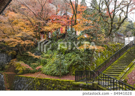 Kyoto Eikan-do in late autumn Kyoto Eikan-do in late autumn 84941028