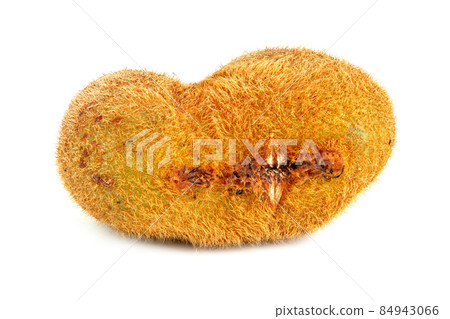 one ugly kiwi mutant fruit isolated on white background 84943066